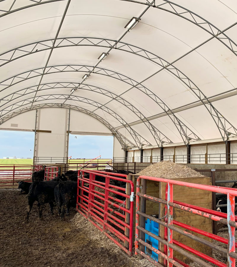 Cattle Barn Buildings